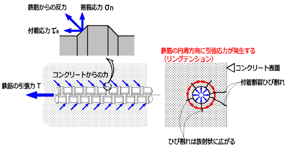 鉄筋の付着ってなに?│いまさら訊けない建築構造力学